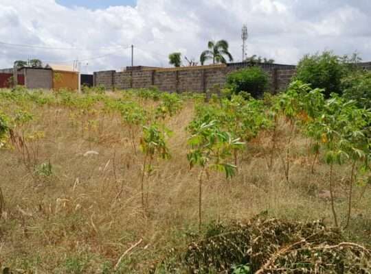 KIWANJA CHENYE HATI, SQM.1,091, TOANGOMA