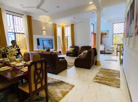 10 BDRM NEW FURNISHED HOME AT GEZA ULOLE.