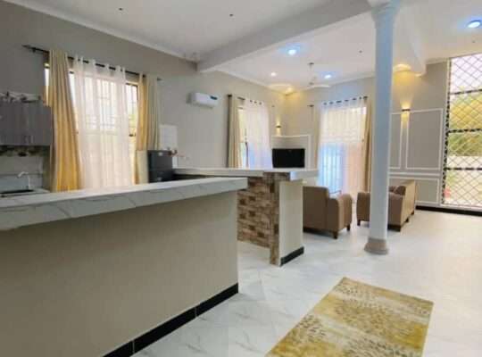10 BDRM NEW FURNISHED HOME AT GEZA ULOLE.