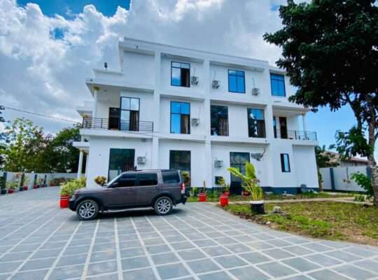 10 BDRM NEW FURNISHED HOME AT GEZA ULOLE.