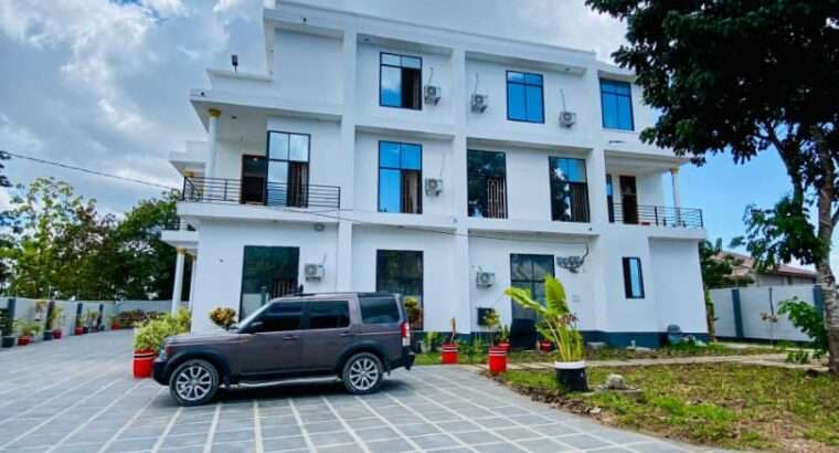 10 BDRM NEW FURNISHED HOME AT GEZA ULOLE.