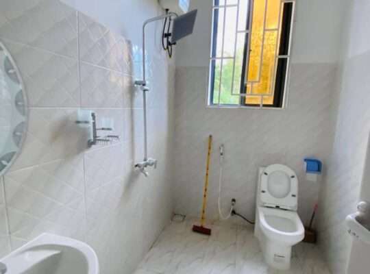 10 BDRM NEW FURNISHED HOME AT GEZA ULOLE.