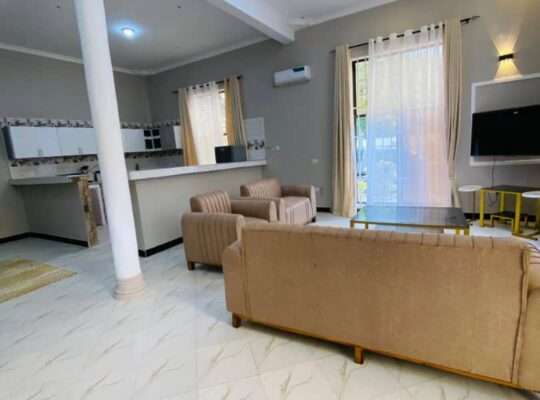 10 BDRM NEW FURNISHED HOME AT GEZA ULOLE.