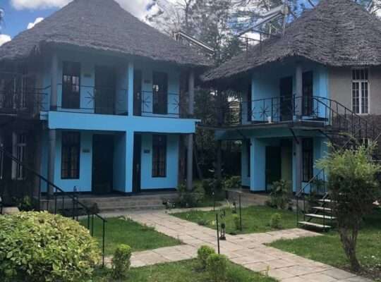 LAVISH TOUR-CAMP-SITE/LODGE AT USA RIVER,ARUSHA