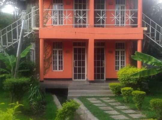 LAVISH TOUR-CAMP-SITE/LODGE AT USA RIVER,ARUSHA