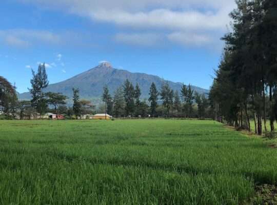 LAVISH TOUR-CAMP-SITE/LODGE AT USA RIVER,ARUSHA