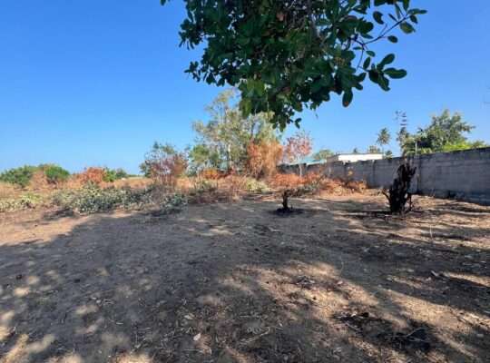 30 ACRES FENCED COMMERCIAL LAND AT BOKO, DAR.