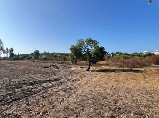 30 ACRES FENCED COMMERCIAL LAND AT BOKO, DAR.