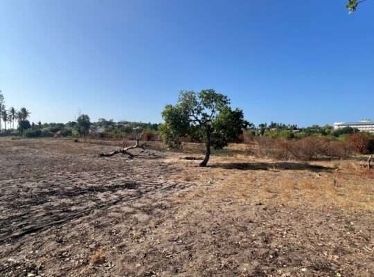 30 ACRES FENCED COMMERCIAL LAND AT BOKO, DAR.