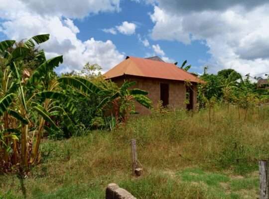 KIWANJA SQM.600, TSHS.16 MIL, MBEZI-MSUMI MWISHO