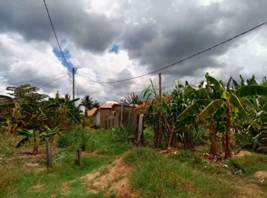 KIWANJA SQM.600, TSHS.16 MIL, MBEZI-MSUMI MWISHO