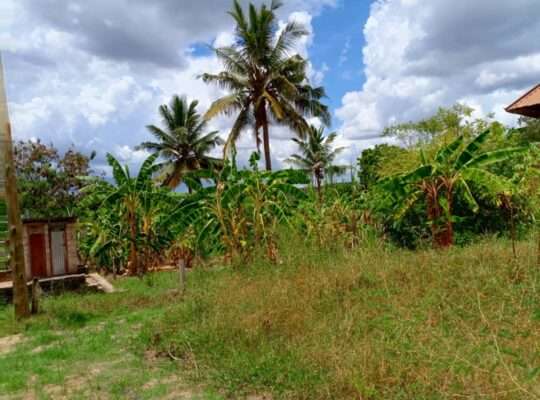 KIWANJA SQM.600, TSHS.16 MIL, MBEZI-MSUMI MWISHO