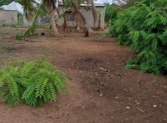 KIWANJA SQM.400, KAWE-UFUKWENI, MTWARA MJINI