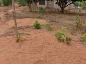 KIWANJA SQM.400, KAWE-UFUKWENI, MTWARA MJINI