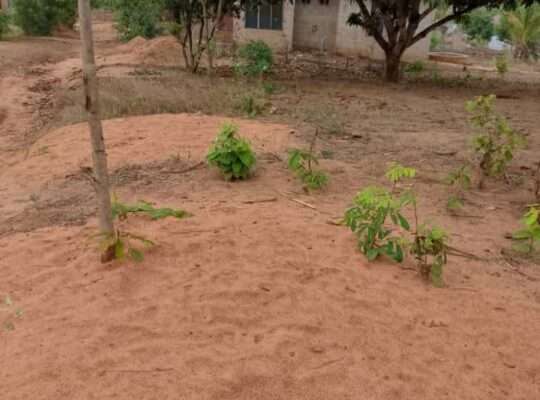 KIWANJA SQM.400, KAWE-UFUKWENI, MTWARA MJINI