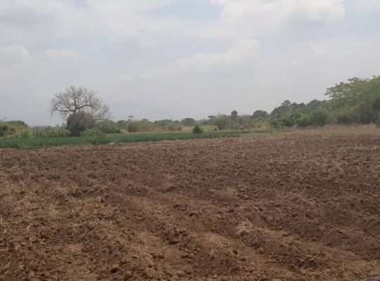 335 ACRES FARM, $250,000 AT SANGASANGA, MOROGORO