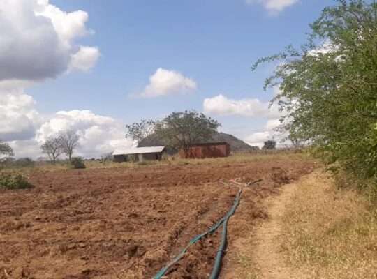 335 ACRES FARM, $250,000 AT SANGASANGA, MOROGORO