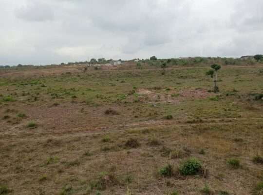 5 ACRES INDUSTRIAL PLOT AT KIBAHA MAILI MOJA