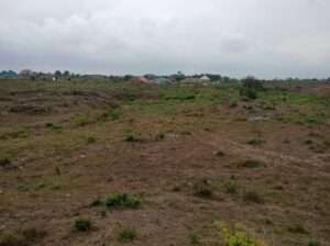 5 ACRES INDUSTRIAL PLOT AT KIBAHA MAILI MOJA