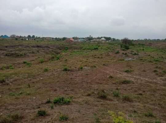 5 ACRES INDUSTRIAL PLOT AT KIBAHA MAILI MOJA