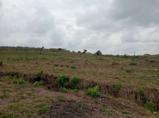 5 ACRES INDUSTRIAL PLOT AT KIBAHA MAILI MOJA