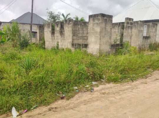 PAGALE INAUZA BANK, TSHS.5 MIL. UDINDIVU,MAPINGA