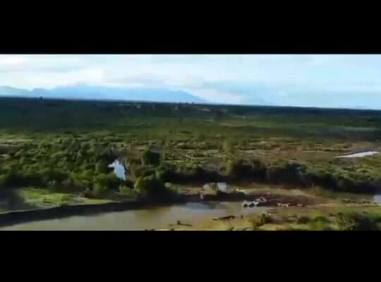 1,590 ACRES WET-FARMLAND AT DAKAWA MOROGORO