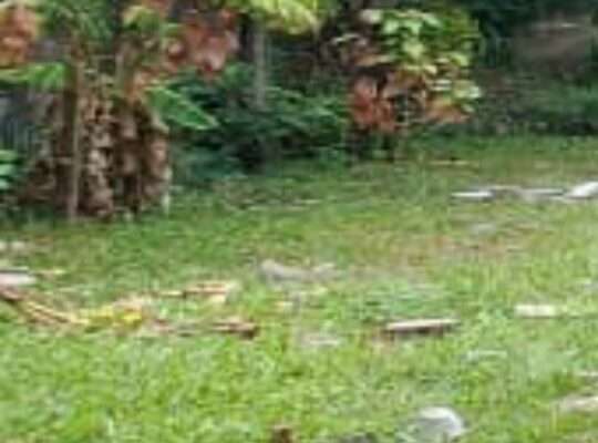 KIWANJA CHENYE HATI, SQM.1,143, KIBAMBA MANISPAA