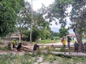 VIWANJA VI2- PAMOJA UKUBWA SQM.800, MONGOLANDEGE