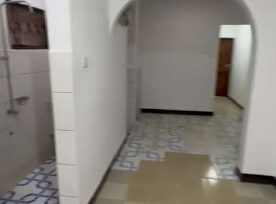 HOSTEL YENYE VYUMBA 11, TSHS.280 MILIONI,SURVEY.