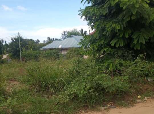 KIWANJA SQM.400,TSHS.45 MIL. GOBA MTAMBANI