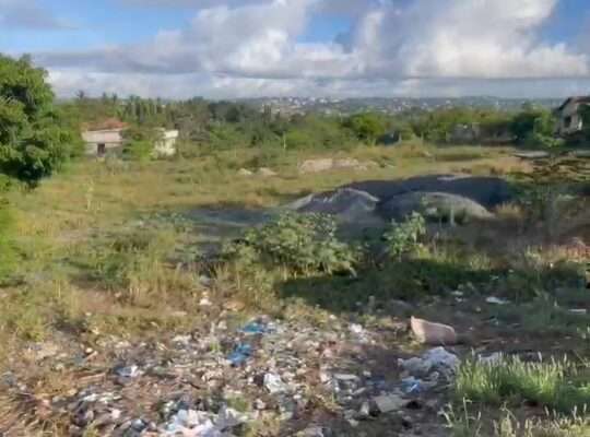 2,000 SQM. MAIN-ROAD-FRONT PLOT, MAKONGO GO JUU.