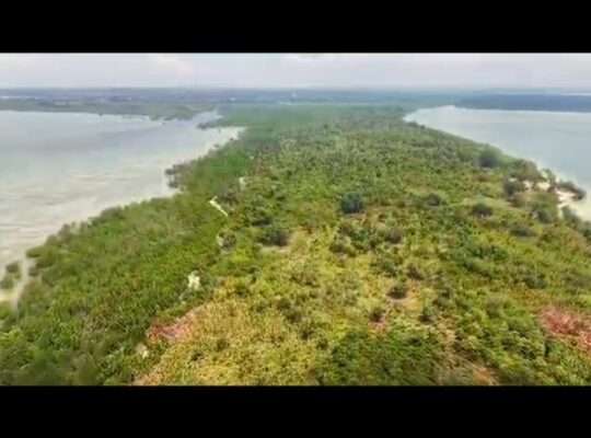 20 ACRES IN AN ISLAND,$4 MIL. IN WITHIN ZANZIBAR