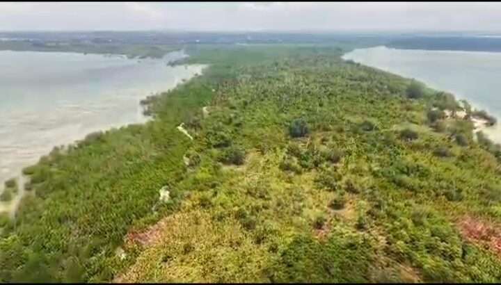 20 ACRES IN AN ISLAND,$4 MIL. IN WITHIN ZANZIBAR