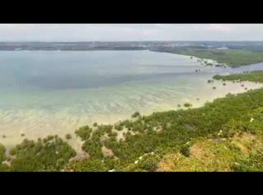 20 ACRES IN AN ISLAND,$4 MIL. IN WITHIN ZANZIBAR