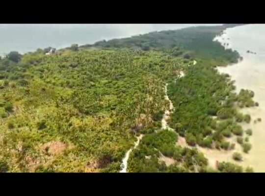 20 ACRES IN AN ISLAND,$4 MIL. IN WITHIN ZANZIBAR