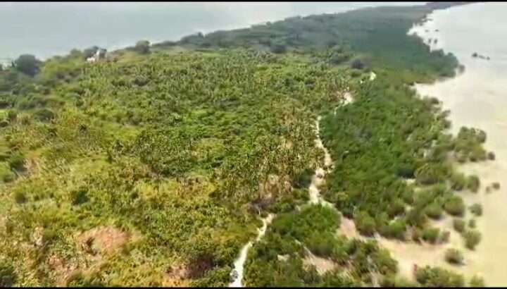 20 ACRES IN AN ISLAND,$4 MIL. IN WITHIN ZANZIBAR