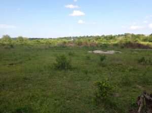 KIWANJA SQM.1600, TSHS.5MIL. DISUNYALA,MLANDIZI.