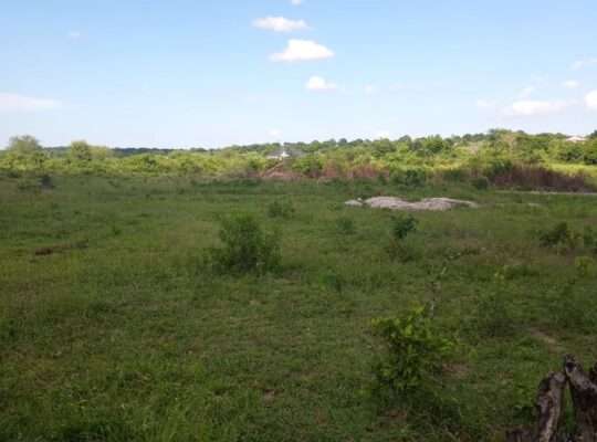 KIWANJA SQM.1600, TSHS.5MIL. DISUNYALA,MLANDIZI.