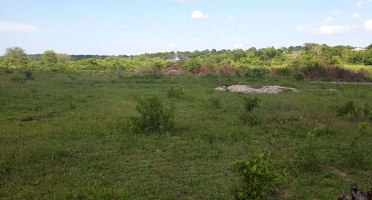 KIWANJA SQM.1600, TSHS.5MIL. DISUNYALA,MLANDIZI.