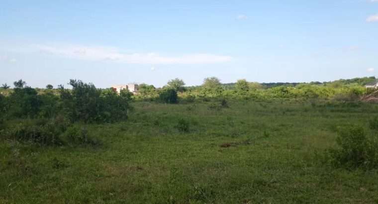 KIWANJA SQM.1600, TSHS.5MIL. DISUNYALA,MLANDIZI.