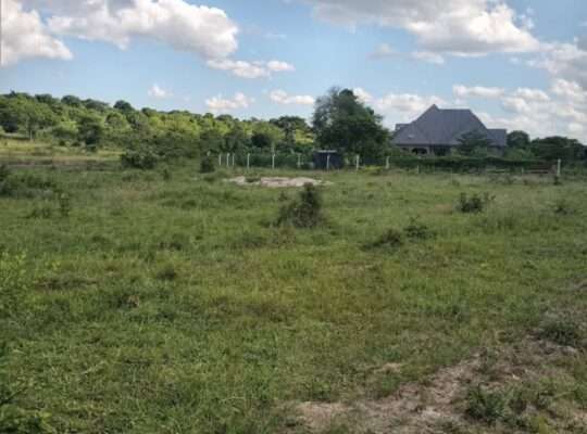 KIWANJA SQM.1600, TSHS.5MIL. DISUNYALA,MLANDIZI.