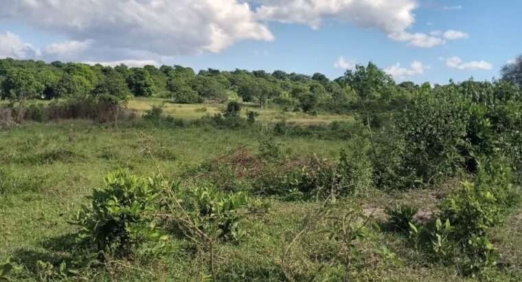 KIWANJA SQM.1600, TSHS.5MIL. DISUNYALA,MLANDIZI.