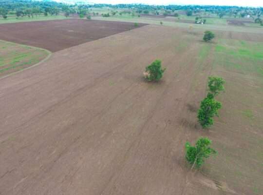 40 ACRES ERABLE WET-FARM AT MOSHI, KILIMANJARO