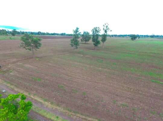 40 ACRES ERABLE WET-FARM AT MOSHI, KILIMANJARO