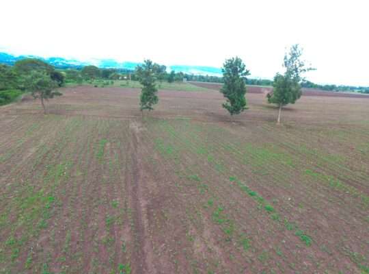 40 ACRES ERABLE WET-FARM AT MOSHI, KILIMANJARO