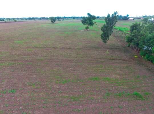 40 ACRES ERABLE WET-FARM AT MOSHI, KILIMANJARO
