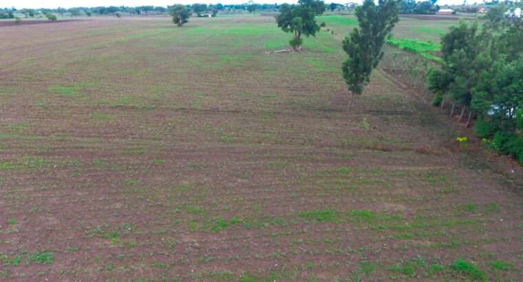 40 ACRES ERABLE WET-FARM AT MOSHI, KILIMANJARO