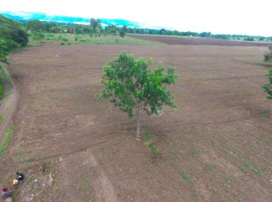 40 ACRES ERABLE WET-FARM AT MOSHI, KILIMANJARO