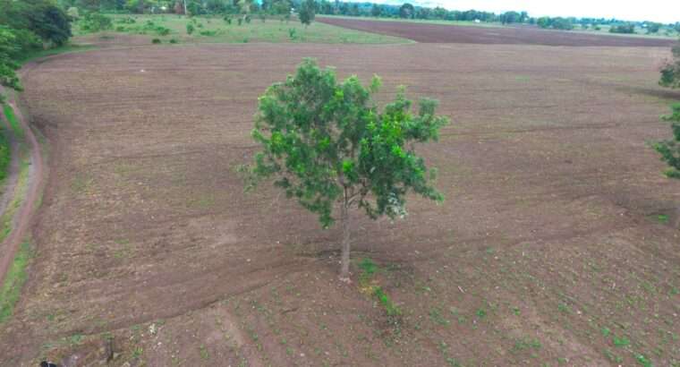 40 ACRES ERABLE WET-FARM AT MOSHI, KILIMANJARO